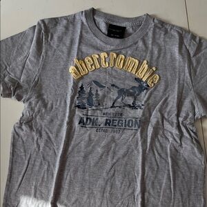Abercrombie Kids Gray Graphic T-Shirt
